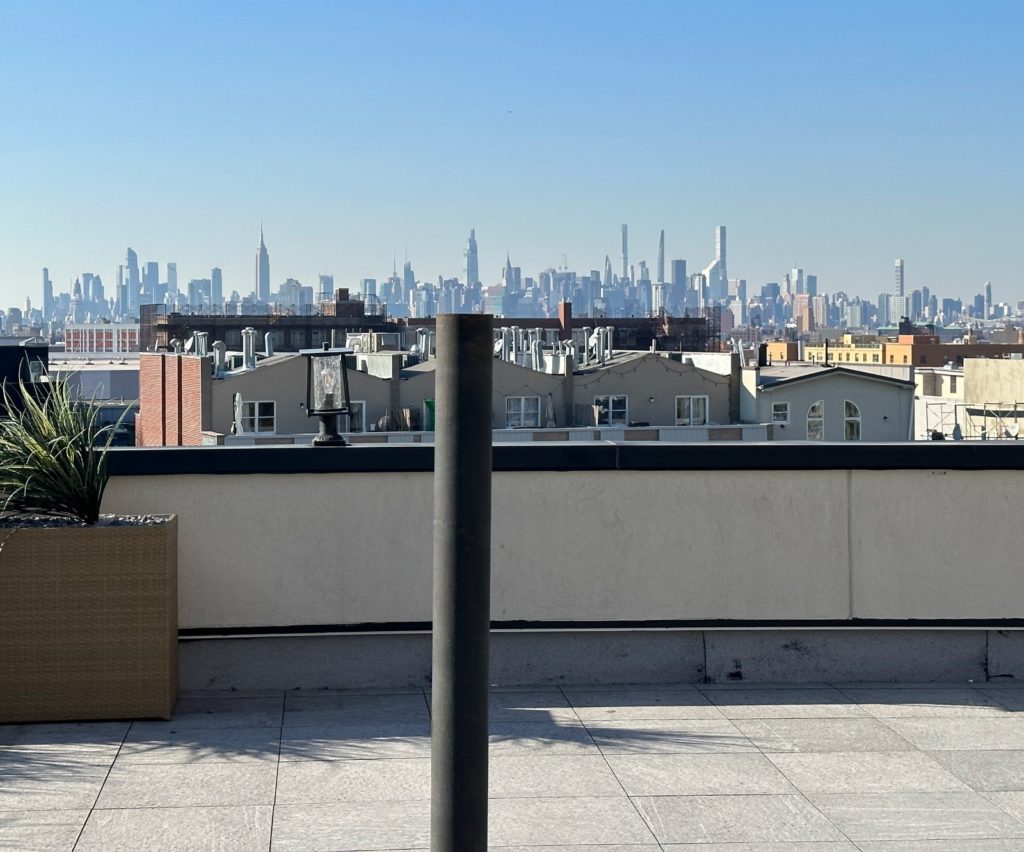 987-Willoughby-Ave-Rooftop