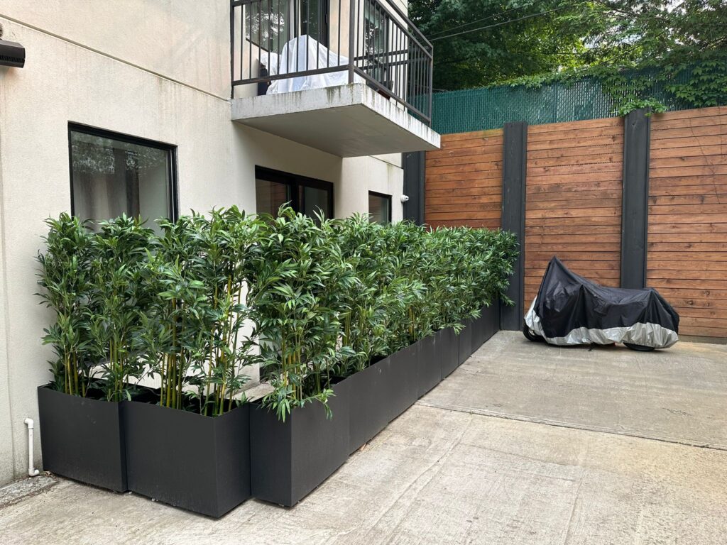 987 Willoughby-Backyard1
